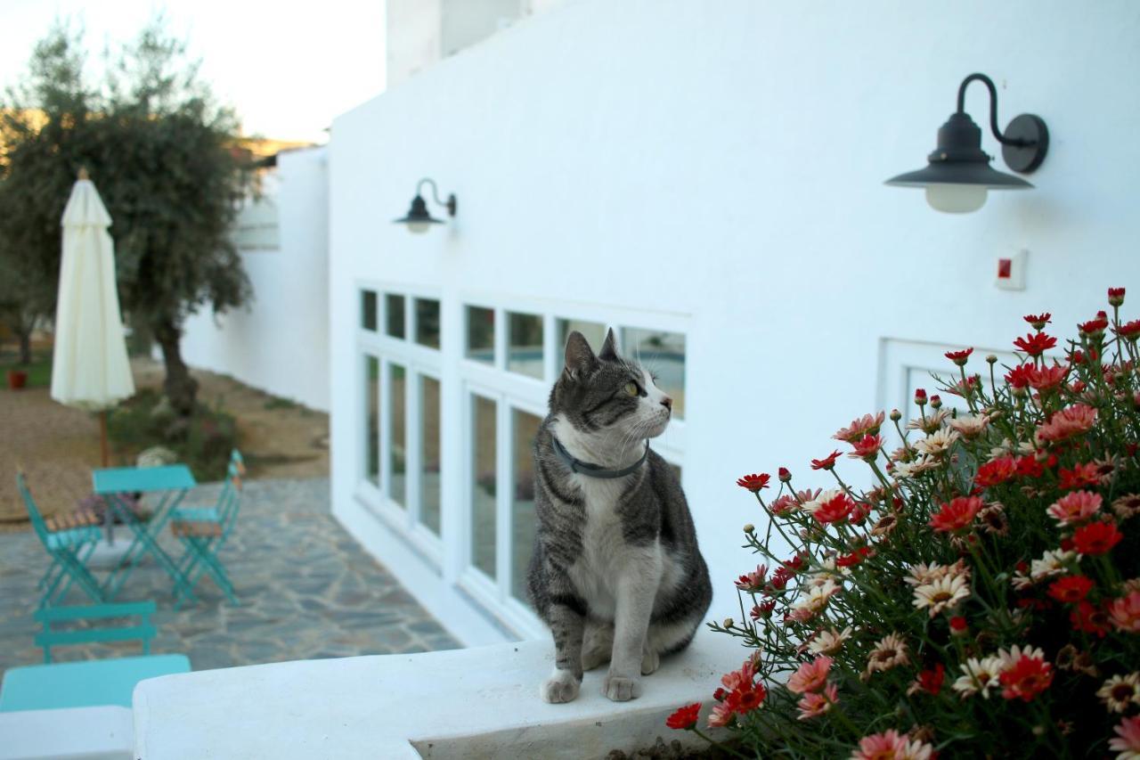 A Casa Da Cerca Hotell Almodôvar Exteriör bild
